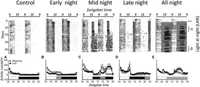 Impact of Light at Night Is Phase Dependent: A Study on Migratory Redheaded Bunting (Emberiza bruniceps)